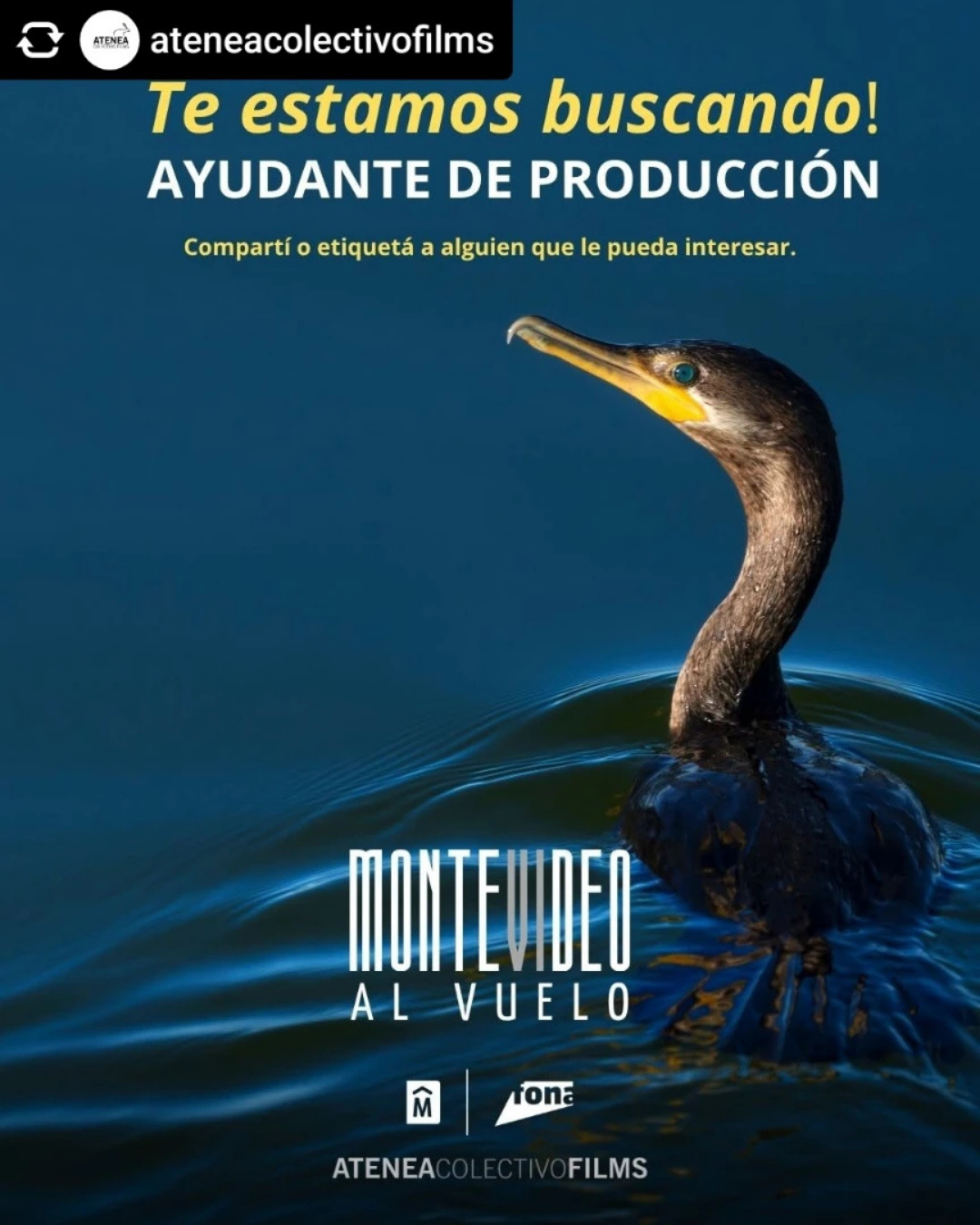 BUSCAMOS AYUDANTE DE PRODUCCIÓN