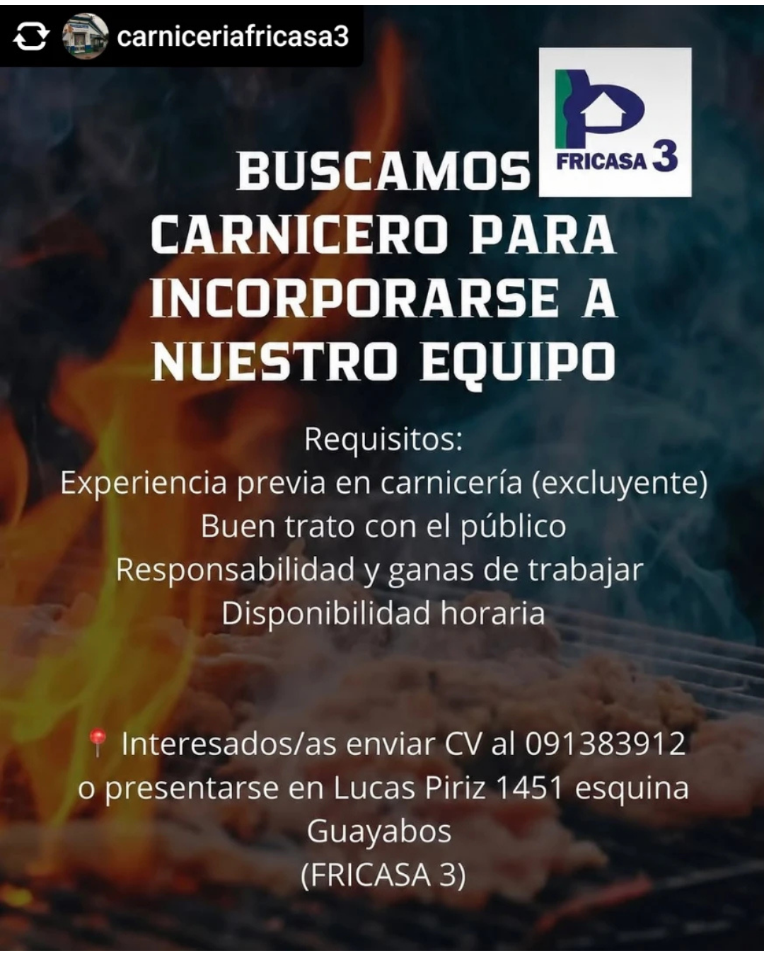 BUSCAMOS CARNICERO