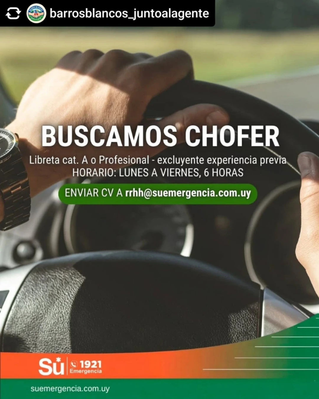 BUSCAMOS CHOFER BARROS BLANCOS