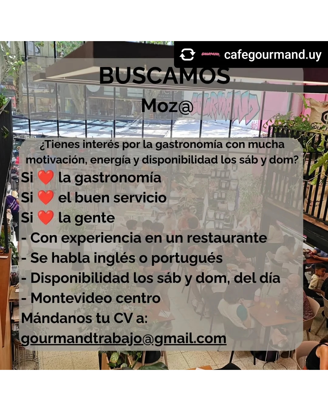 BUSCAMOS MOZO_A