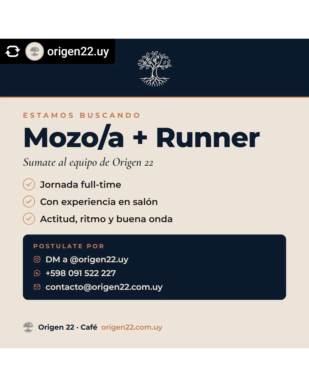 Buscamos mozo moza