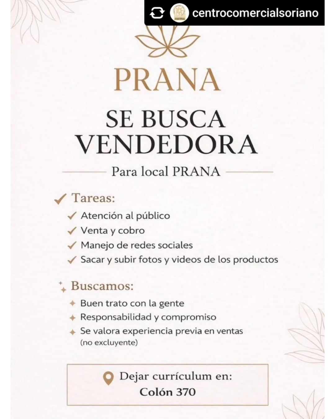 SE BUSCA VENDEDORA